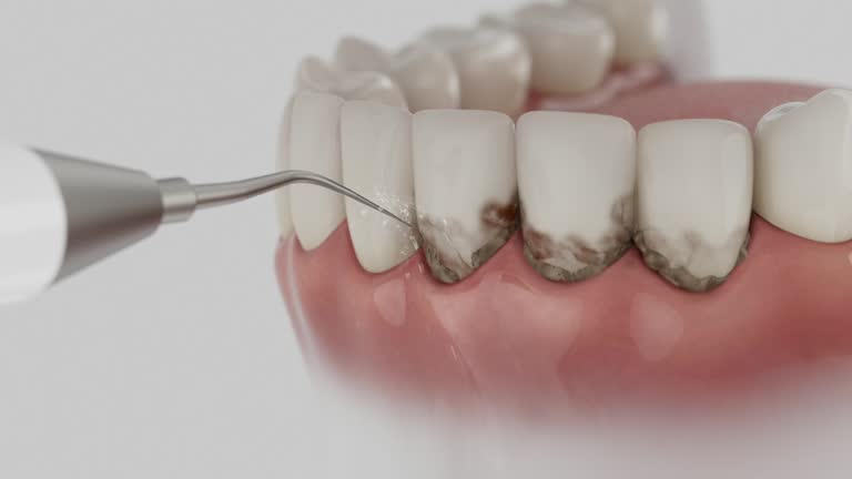 Reliable Dental contractor in St. Charles, MO by Dentist Open Now